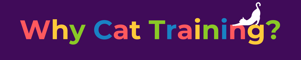 Why Cat Training?