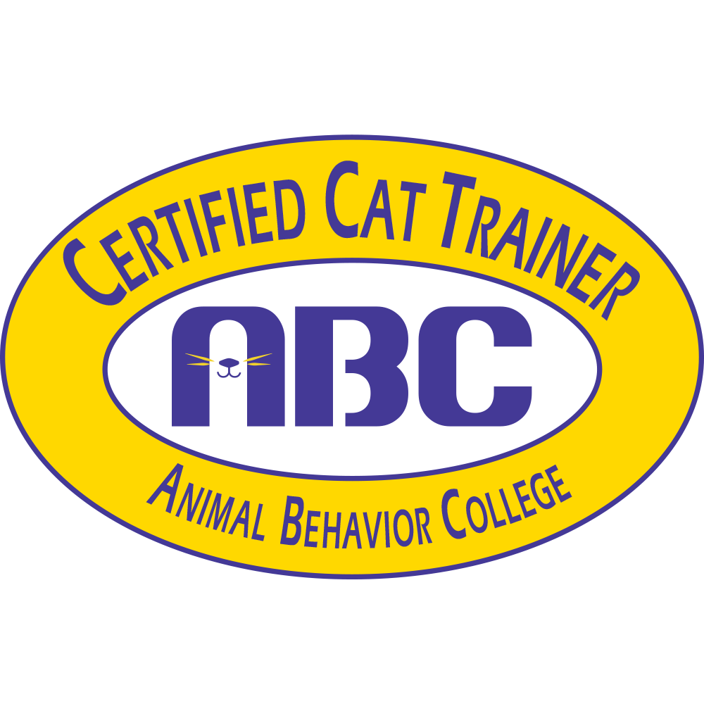 Animal Behavior College Certified Cat Trainer